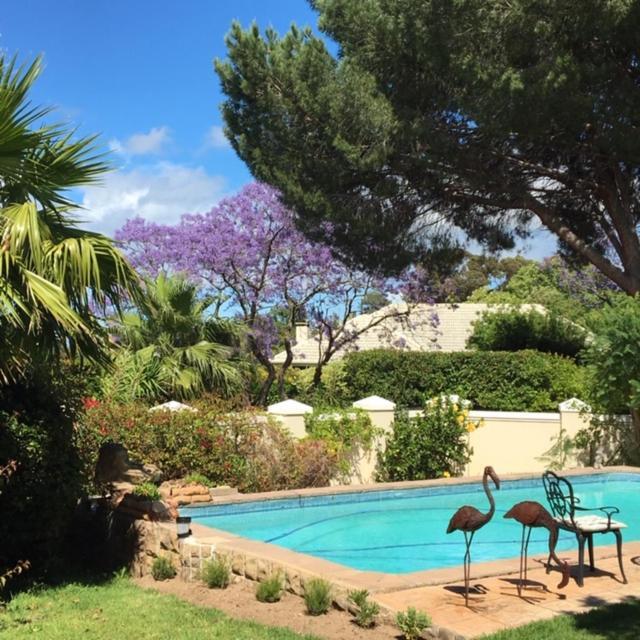 Golf And Garden Guesthouse Somerset West Kültér fotó